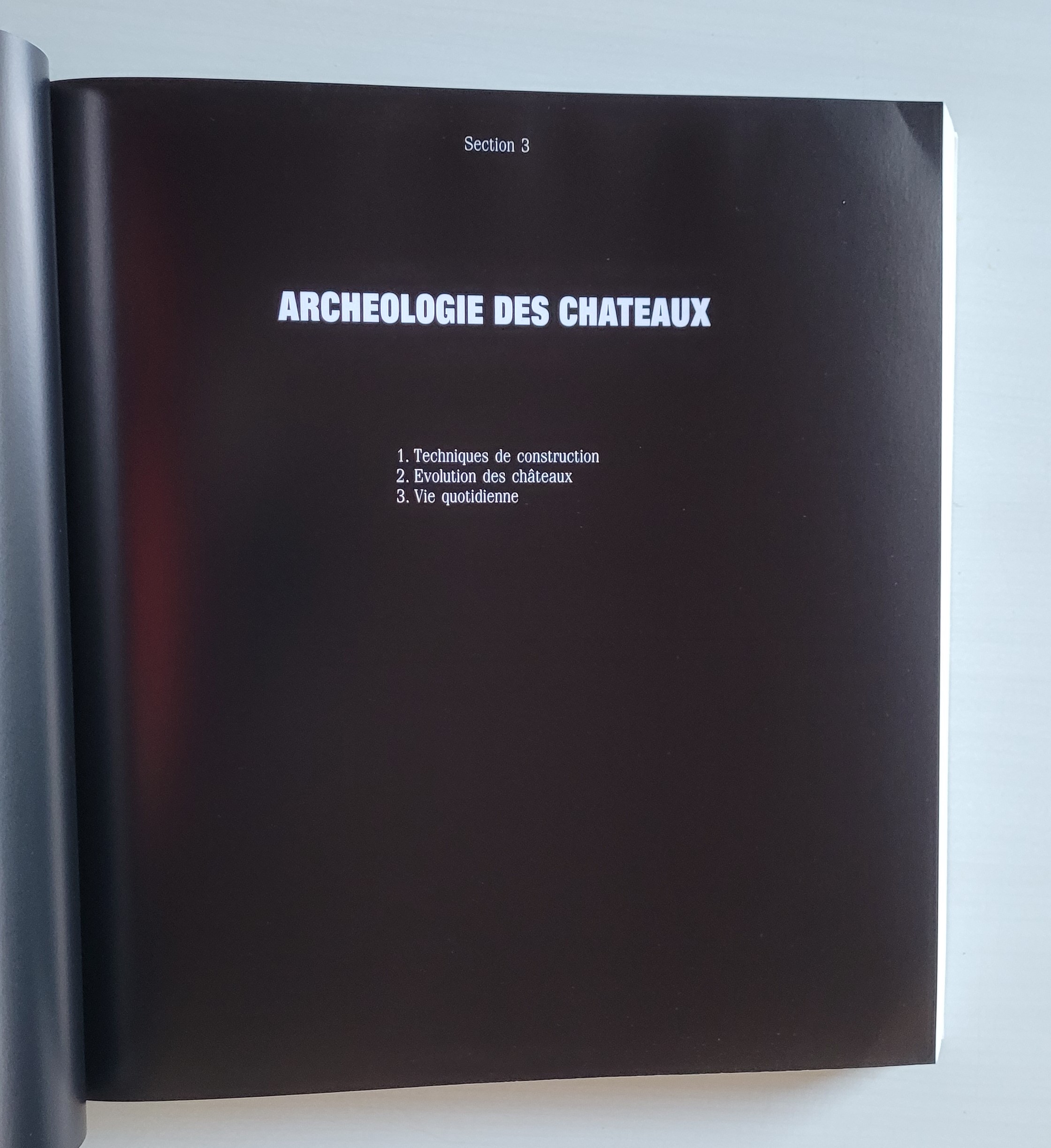 Vivre au moyen age